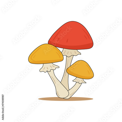 Amanita mushroom vector illustration, toadstool drawing