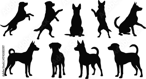 Silhouettes of dogs in different poses, various breeds illustration, pet animal concept, canine behavior artwork, domestic animals design, posture study, flat vector
