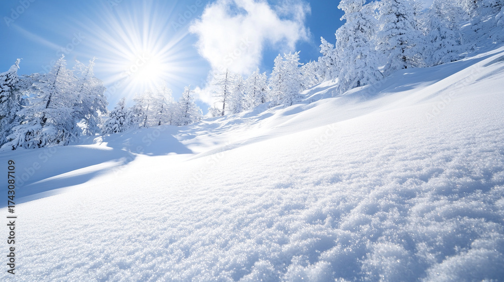 Obraz premium winter landscape with snow. ski slope with sunlight 