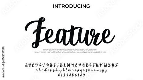 Feature - Elegant Script Font for Smooth Handwritten Design and Creative Typography
