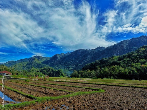 Tableau sur toile Rice Fields in Kamang, Agam, West Sumatra – Lush Green Terraces with Bukit Barisan Mountains and Dramatic Sky