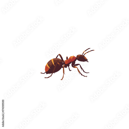 Ant illustration