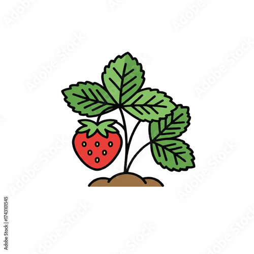 Strawberry Plant Icon