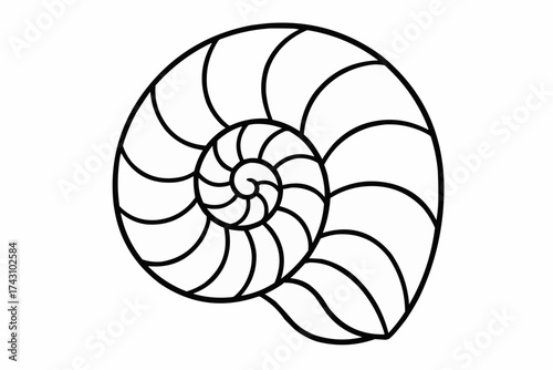 Coloring book for kids - Spiral nautilus shell outline in minimalist black design  