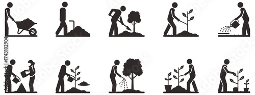 Step-by-step illustration of planting a tree from preparation to watering and growth