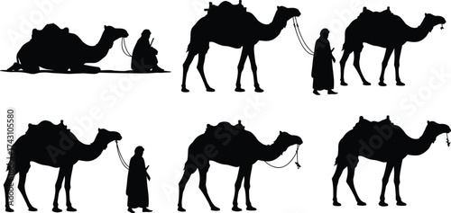 Camel silhouette, desert travel, nomadic lifestyle, people with camels, caravan journey, traditional culture, animal transport, adventure tourism, wilderness exploration, silhouette art