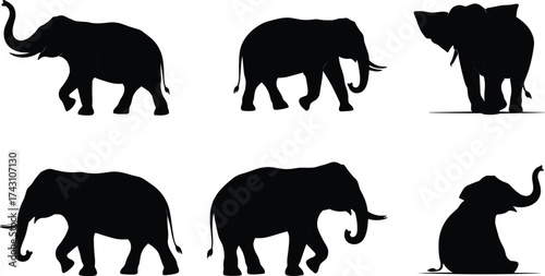 Elephant silhouette collection, wildlife animal shapes, walking elephants, standing elephant, sitting elephant, African safari art, black vector illustration design