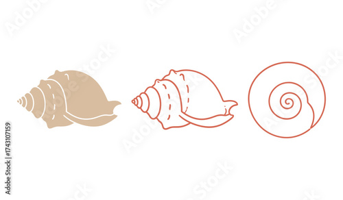 A set of three stylized seashell illustrations in beige and coral on white background conch spiral