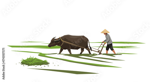 A farmer wearing a conical hat plows a field with a water buffalo