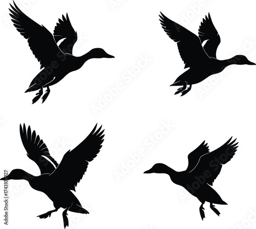 Flying duck silhouettes, black bird shapes, wildlife in motion, migratory waterfowl, animal flight pattern, nature illustration, isolated white background