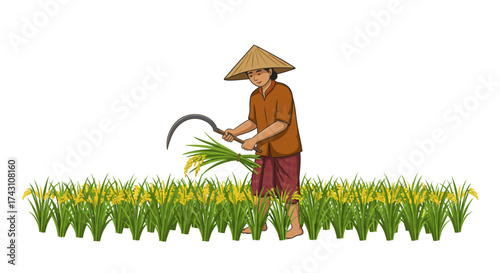 A farmer harvests rice with a sickle wearing a conical hat