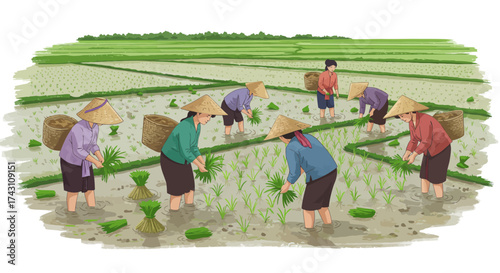 Eight figures in a verdant waterlogged field working with planted rice