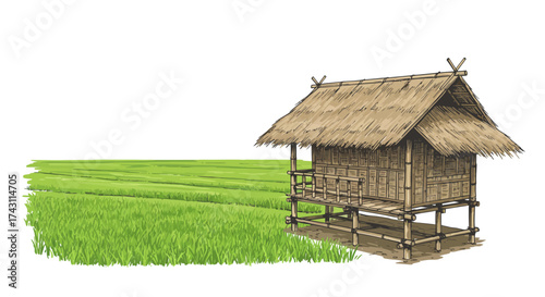 Thatched hut on stilts beside green rice field