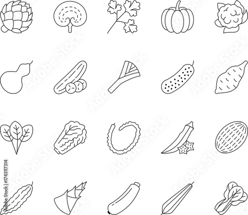Collection of editable line icons representing various fresh vegetables for healthy eating and cooking