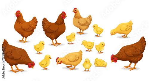 A cartoon image shows chickens with their chicks