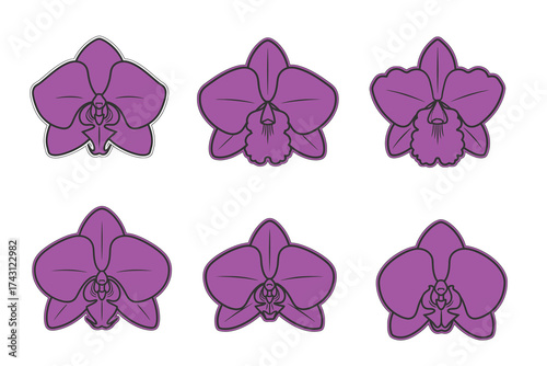 Six purple orchid flowers isolated on white background