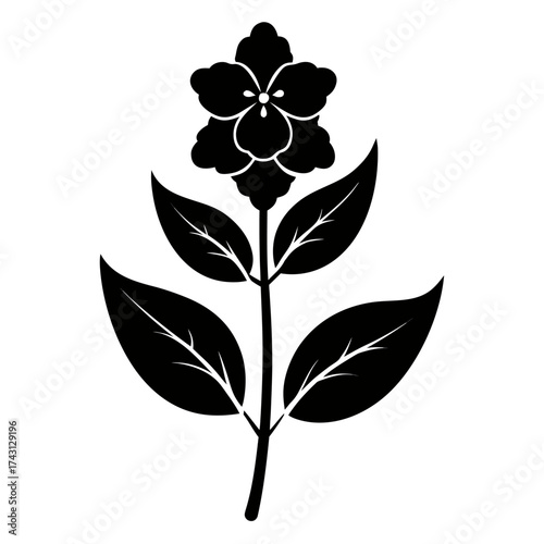  lemon verbena silhouette vector on white