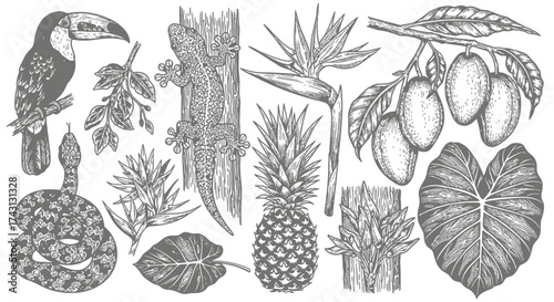 Vintage Tropical Elements Collection