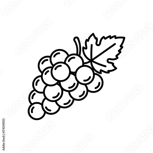 Bunch of grapes hanging with a leaf, depicted in a simple line drawing style, conveying a sense of fresh produce and natural simplicity.