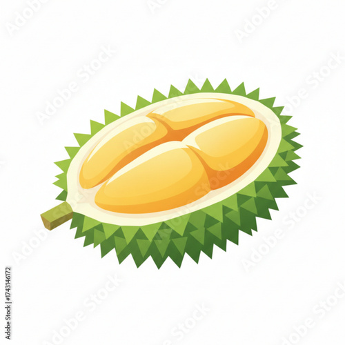 illustration of durians