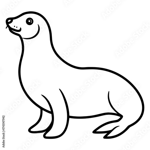  sea lion.