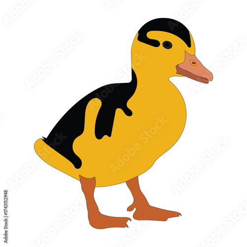 Vector illustration of a cute yellow and black duckling isolated on transparent background.