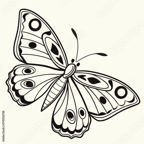 Elegant black and white line art drawing of a butterfly with intricate wing patterns and eye spots on a cream background