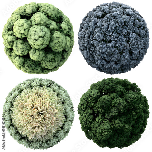 Four spherical 3 d renderings of textured organic forms with transparent background