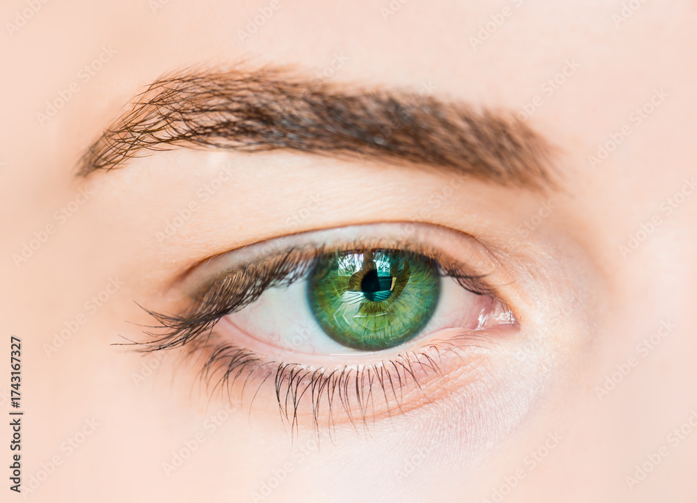 Obraz premium Extreme Close-Up Of hazel green girl eye - Macro image of girl eye