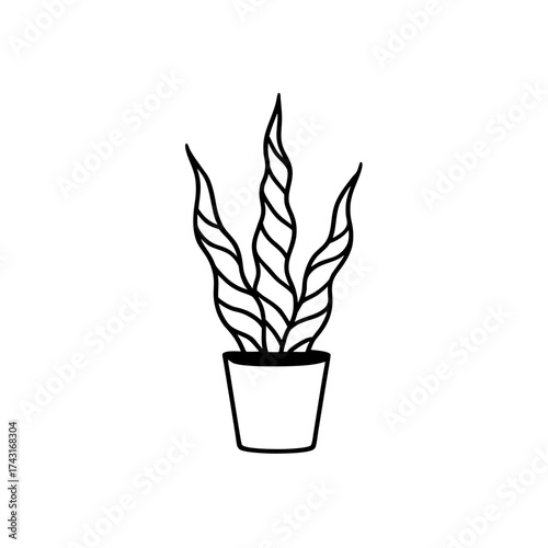 Illustration of a potted snake plant with three leaves in a simple style