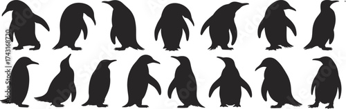Penguin silhouette collection, black bird shapes, Antarctic wildlife illustration, penguin clipart, animal design, nature graphic art
