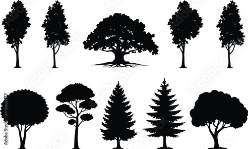 Tree silhouette collection, black forest trees illustration, nature shapes, vector design, woodland plants, landscape elements, eco graphics