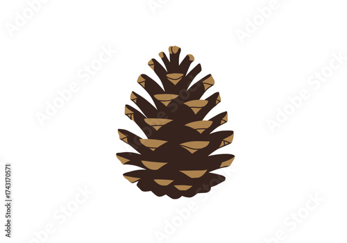 A detailed illustration of a single brown pine cone with visible scales.