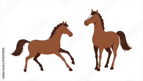 A set of two brown horses in standing and prancing poses vector illustration