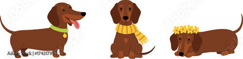 Cute cartoon dachshund dogs collection, adorable brown sausage dogs illustration, playful pet animals, funny dog characters, isolated vector design