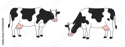 Black and White Cows Illustration Facing Different Directions