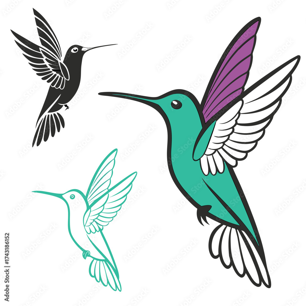 Fototapeta premium Elegant Hummingbird Vector Illustration Collection in Teal Black and Purple with Detailed Wing Design Ideal for Graphics and Prints