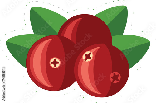 Fresh cranberries with green leaves, perfect for holiday recipes, Thanksgiving menus, and healthy lifestyle content, offering a sweet and tart flavor