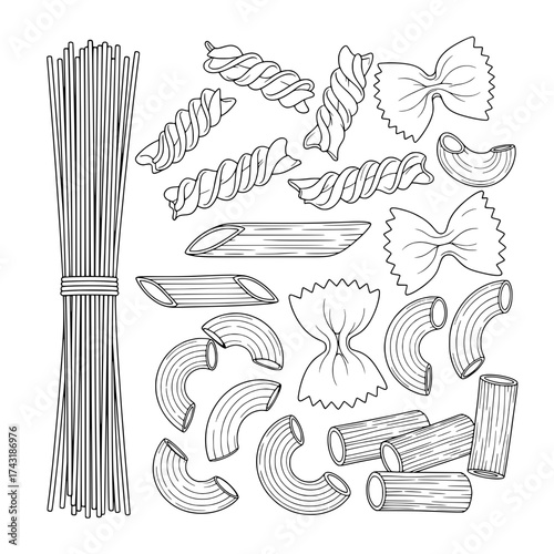 Pasta Assortment: An illustrative assortment of pasta shapes including spaghetti, penne, farfalle, and fusilli, offering a glimpse into the versatility and variety of Italian cuisine.