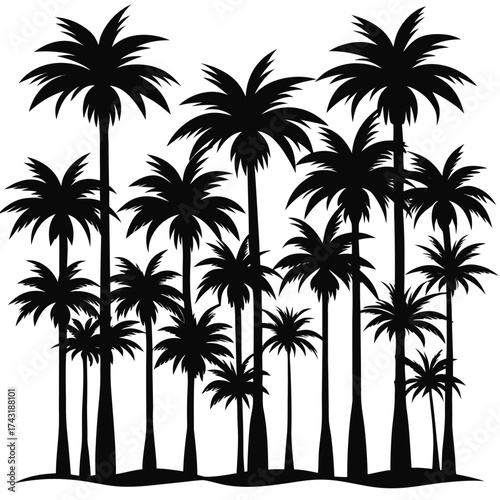 Vector art of dense cluster of many palm trees in silhouette