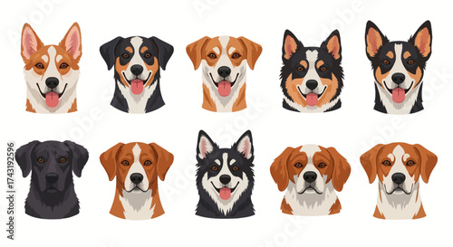 Illustration of ten different dog breeds, showcasing their unique facial markings and coat colors.