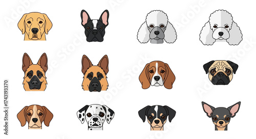 Collection of illustrated dog breed faces, including a golden retriever, poodle, pug, and dalmatian, arranged in a grid.