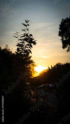 El atardecer mas hermoso.