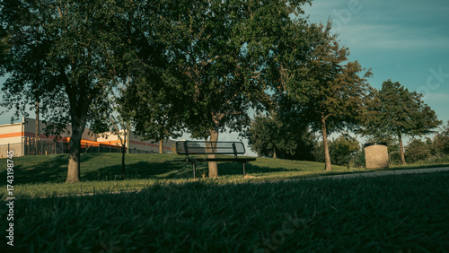 La solidez de un árbol es incomparable