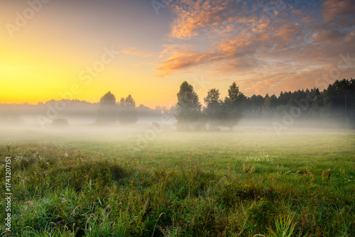Misty summer morning over the forest glade © Piotr Krzeslak