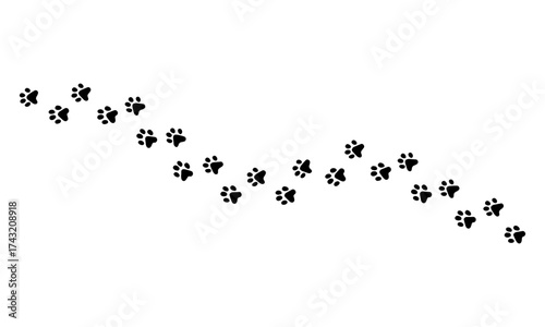 A winding trail of animal paw prints, depicted in black against a clean white background.