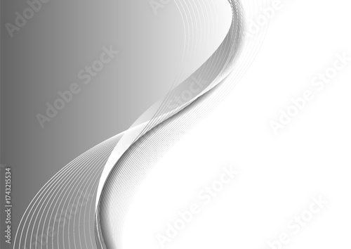 Grey white flowing elegant waves abstract minimal background. Vector design