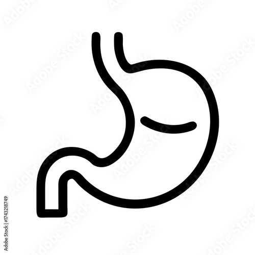 Illustration of a human stomach for medical use
