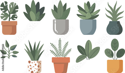 Flat minimalist illustration of indoor potted plants collection, modern home decor greenery, succulent and foliage design elements for decoration