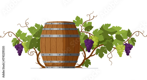 Wine Barrel Surrounded by Grape Vines with Purple and Green Grapes